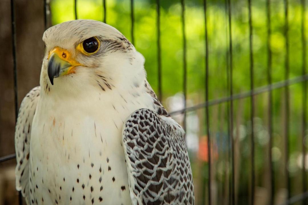 Photo of Others in Saint Maurin