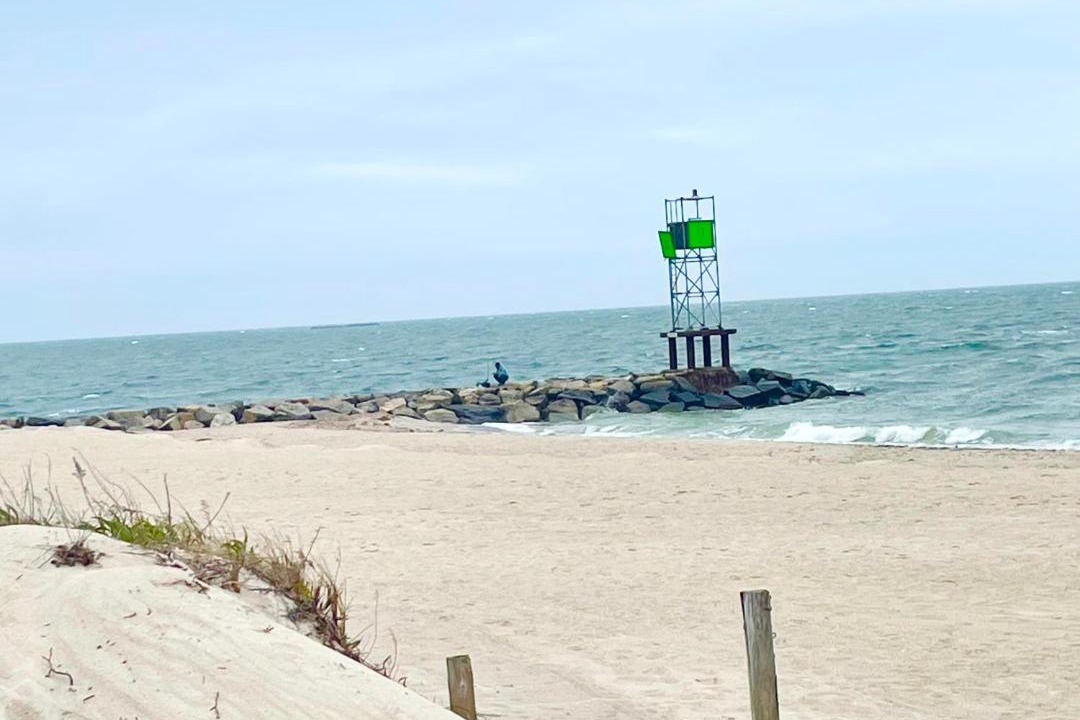 Photo of Others in South Yarmouth