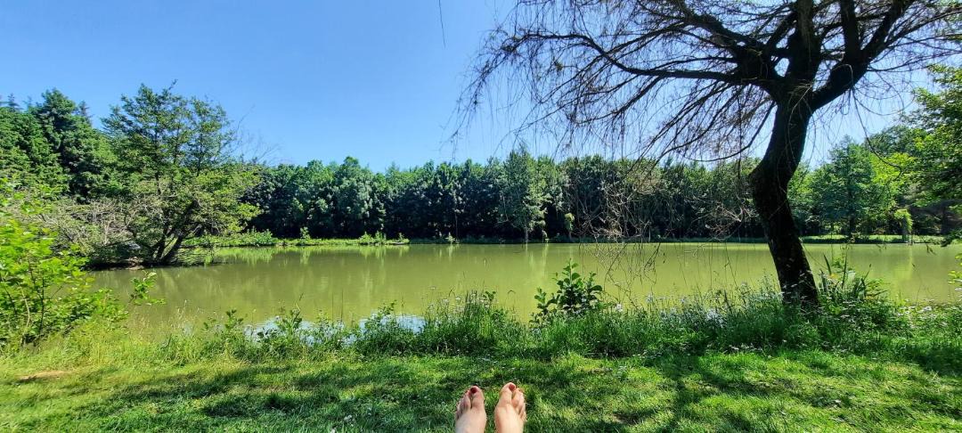 Photo of Others in Lonny