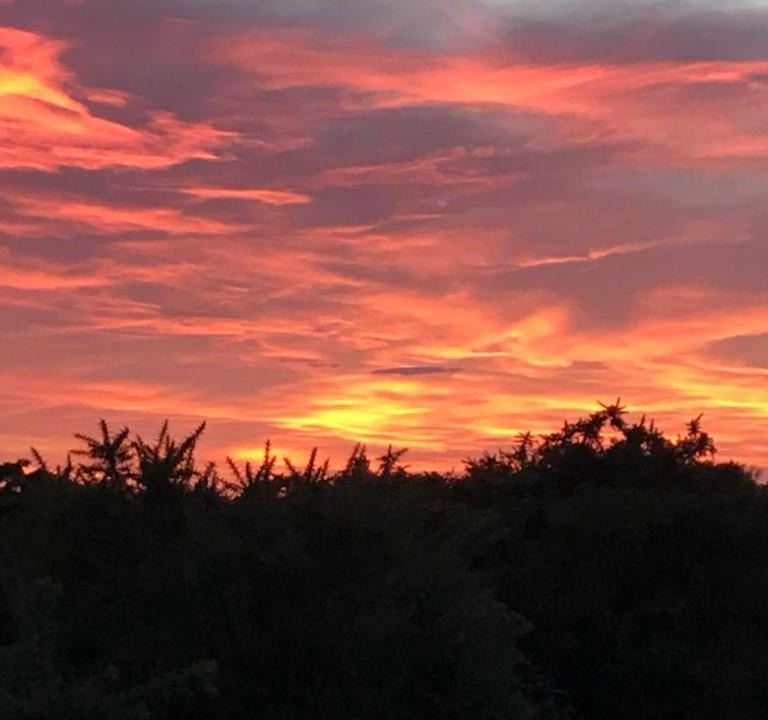 Photo of Others in New Forest District