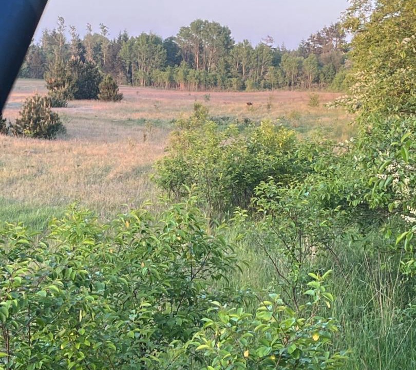 Photo of Outdoor in Tarm