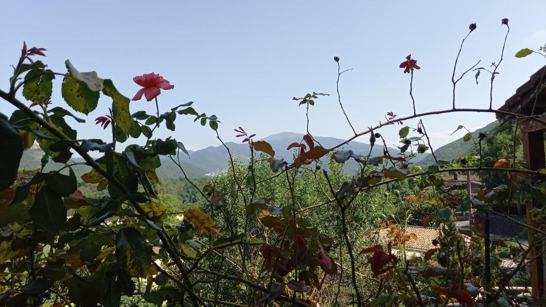 Photo of Others in Ferrieres sur Ariege