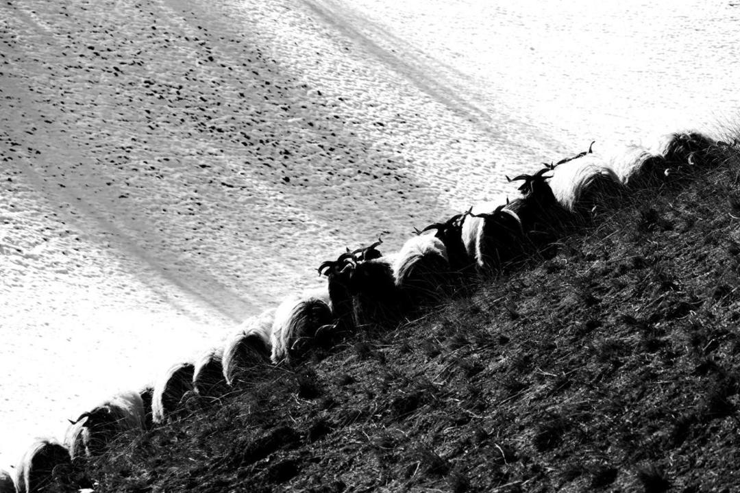 Photo of Others in Aldudes