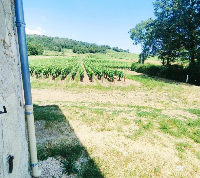 Photo of Others in Saint-Jean-de-Vaux