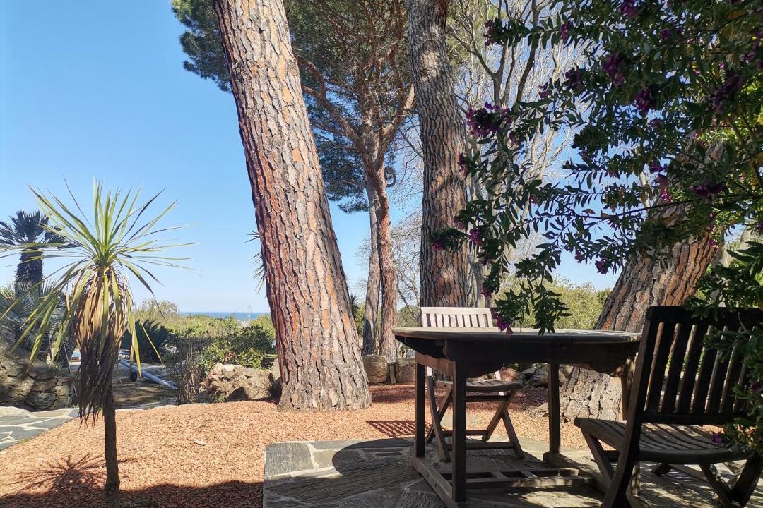 Photo of Others in Argeles-sur-Mer