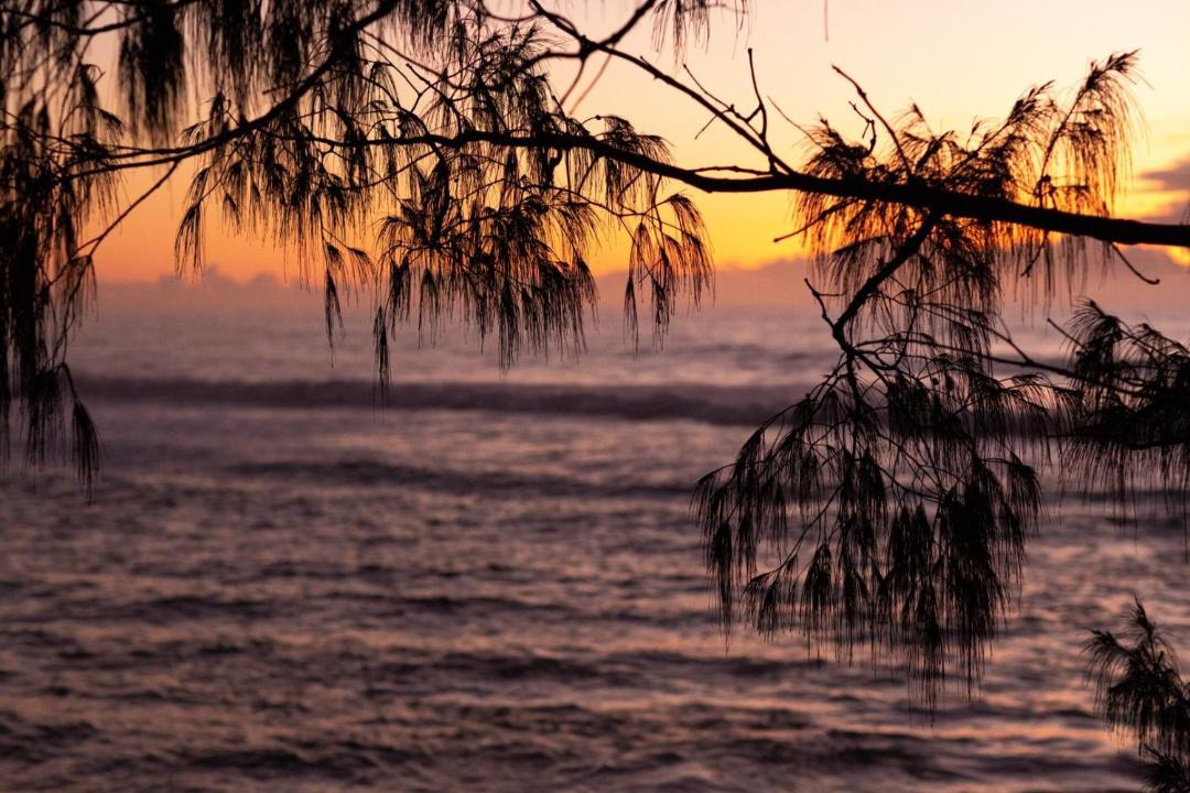 Photo of Others in Bonny Hills