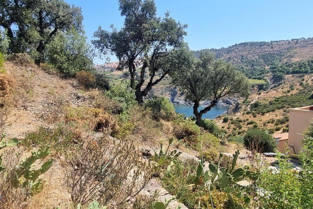 Photo of Outdoor in Cerbere