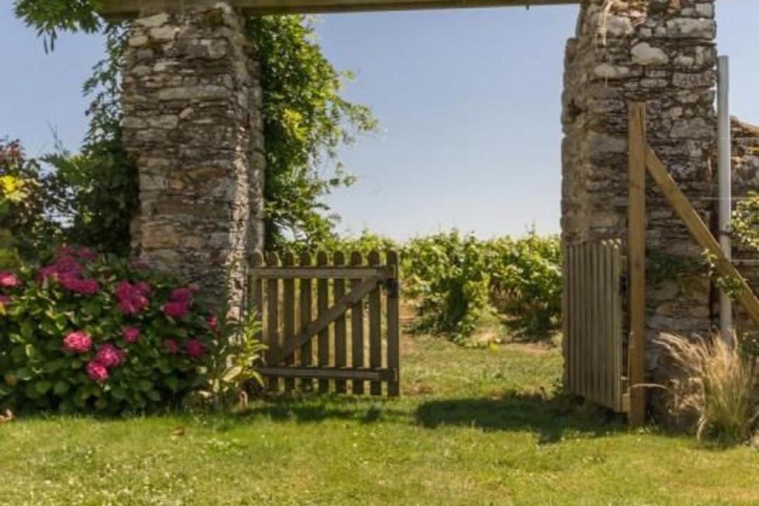Photo of Others in Chateau-Thebaud
