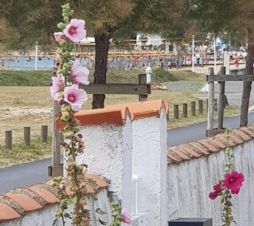 Photo of Others in Marennes