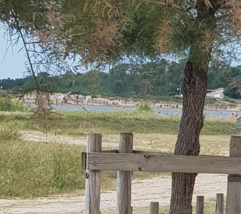 Photo of Others in Marennes