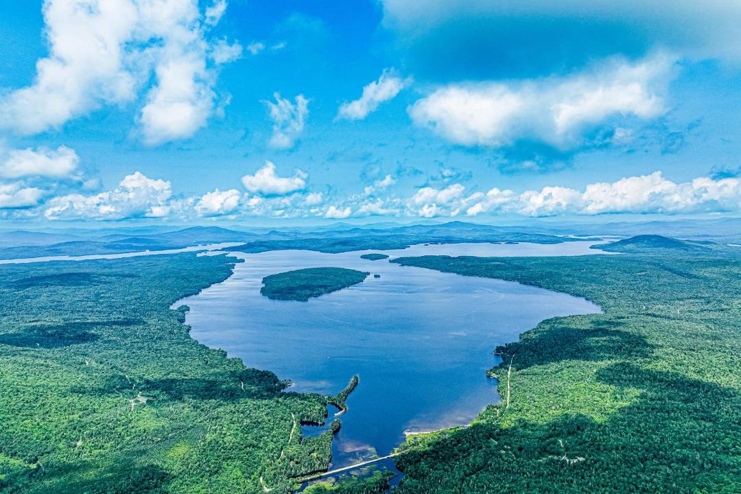 Photo of Others in Rangeley Plantation