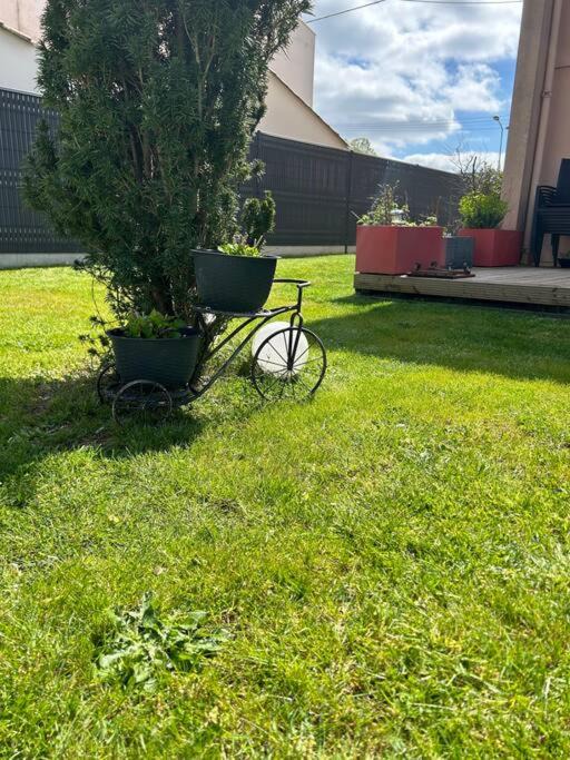 Photo of Outdoor in Libourne