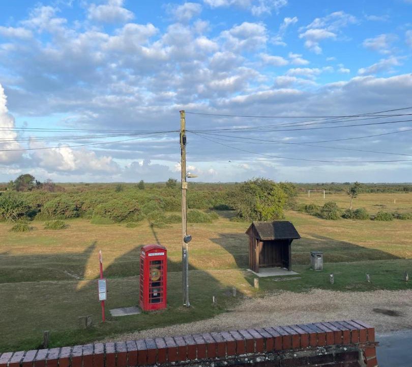 Photo of Others in New Forest District