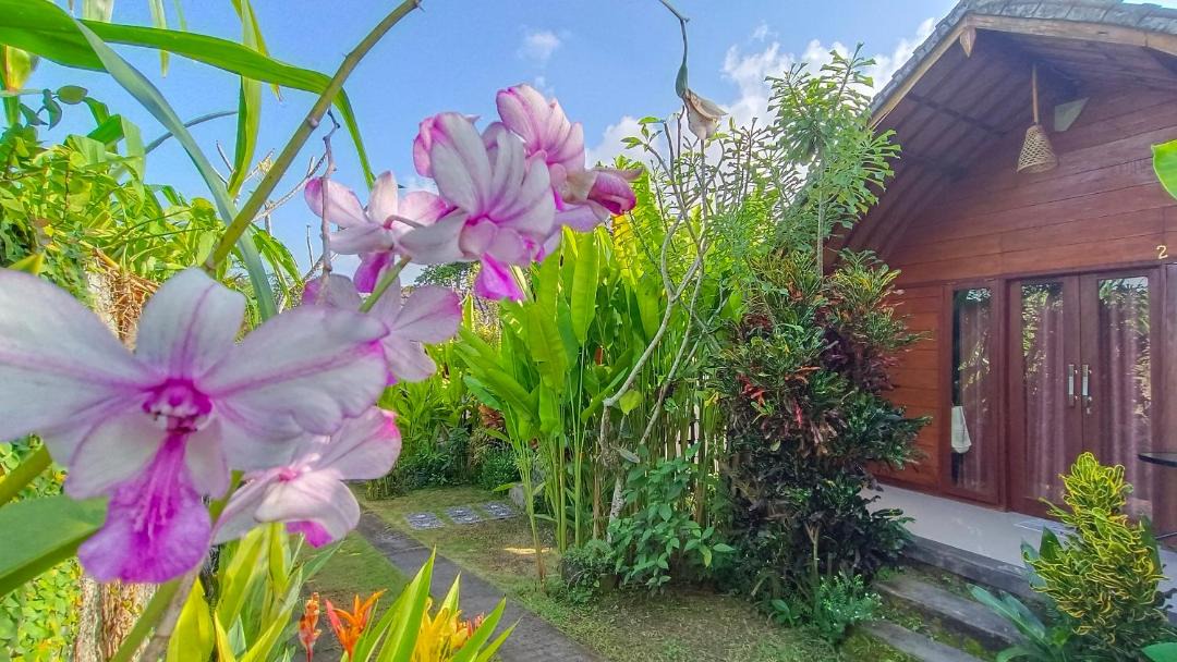 Photo of Others in Tumbak Bayuh