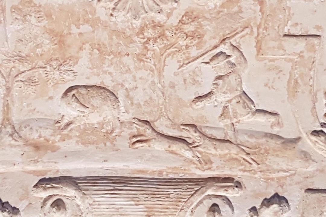 Photo of Others in Vabres-l'Abbaye