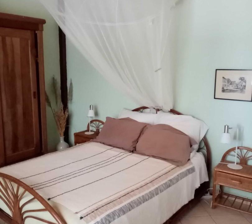 Photo of Others in Momuy