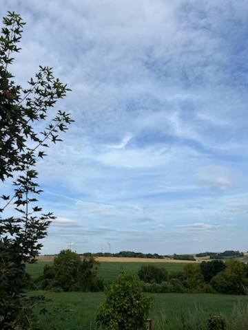 Photo of Others in Maimbeville