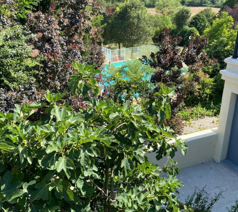 Photo of Others in Saint-Martin-de-Bromes