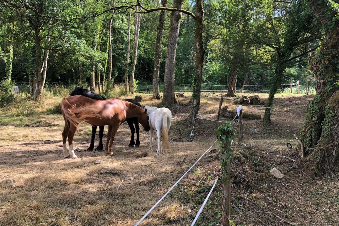 Photo of Others in Le Val-d'Esnoms