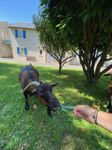 Photo of Others in Saint-Geniez-d'Olt