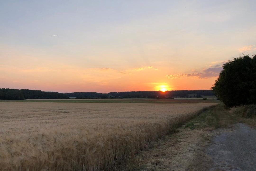 Photo of Others in Noisy-sur-Ecole