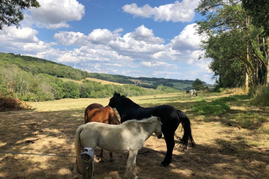 Photo of Others in Le Val-d'Esnoms