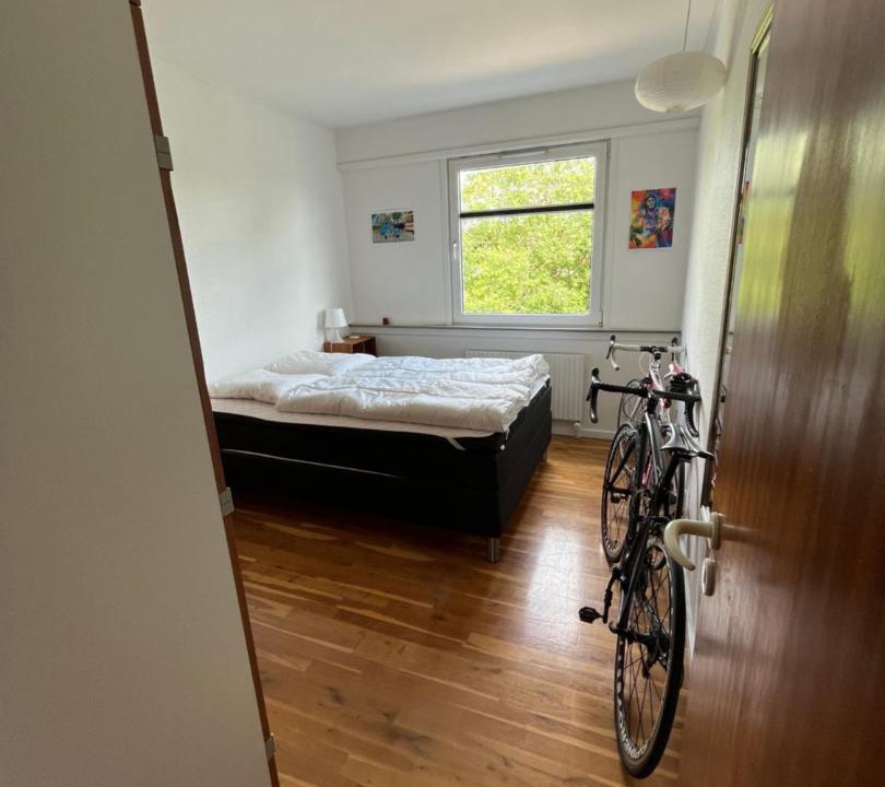 Photo of Others in Randers