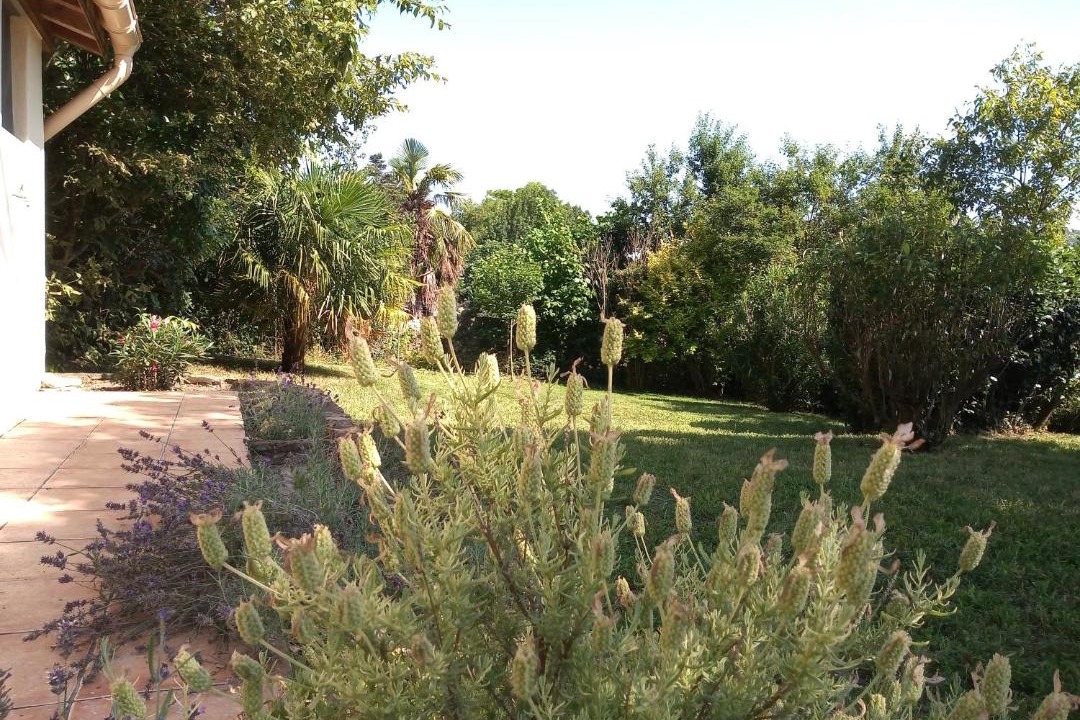 Photo of Others in Treziers