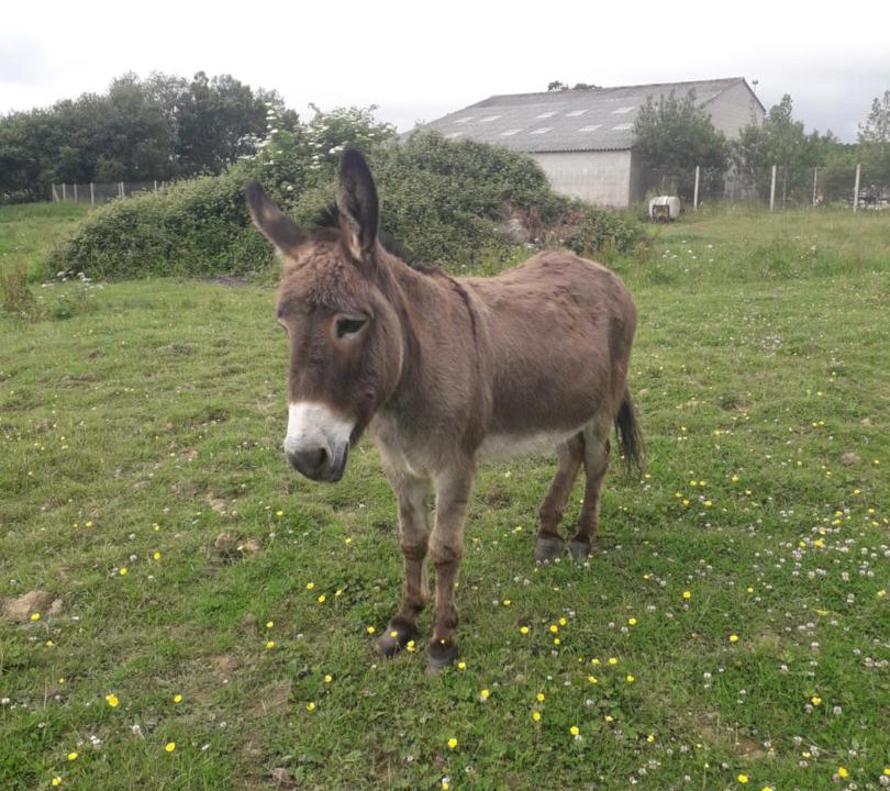 Photo of Others in La Haye