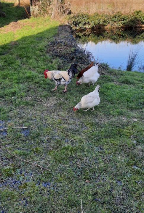 Photo of Others in La Haye