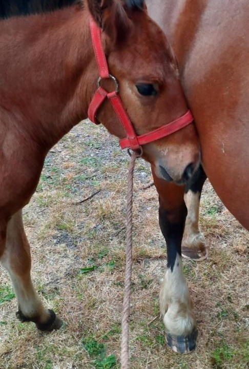 Photo of Others in La Haye