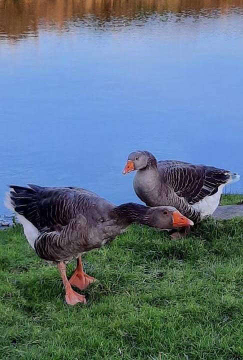 Photo of Outdoor in La Haye