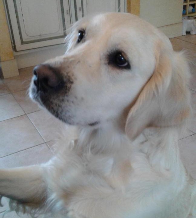 Photo of Others in La Haye