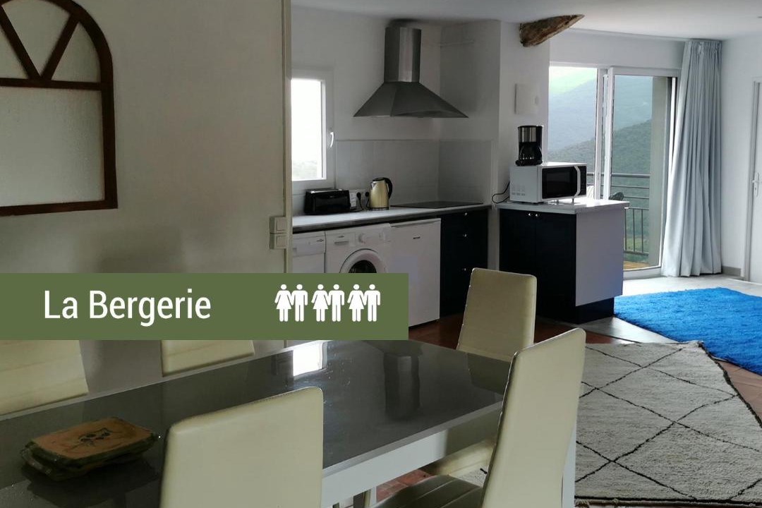 Photo of Others in Felluns