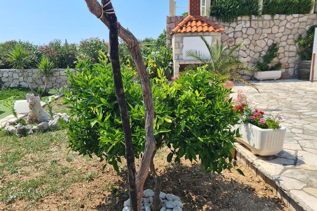 Photo of Others in Dubrovacko Primorje