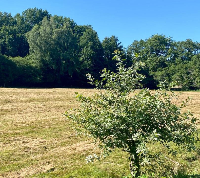 Photo of Others in Champagnac-la-Riviere