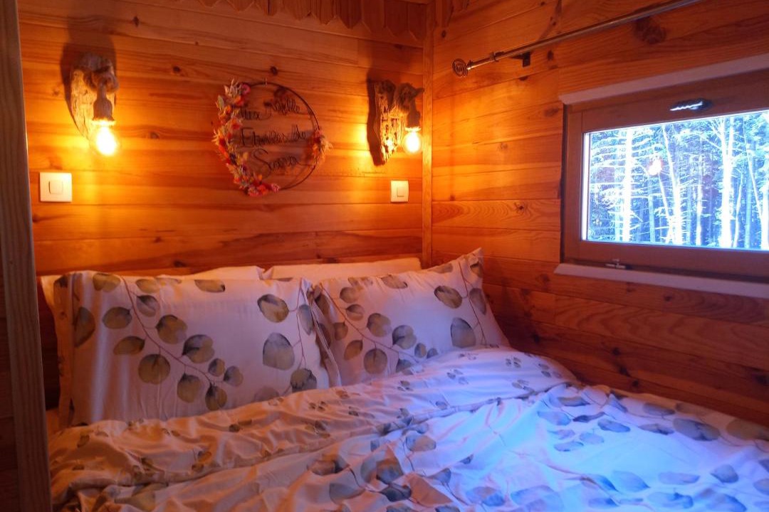 Photo of Others in Boree