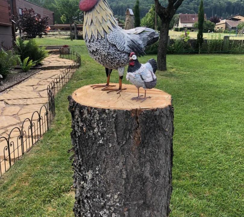 Photo of Others in Wintzfelden