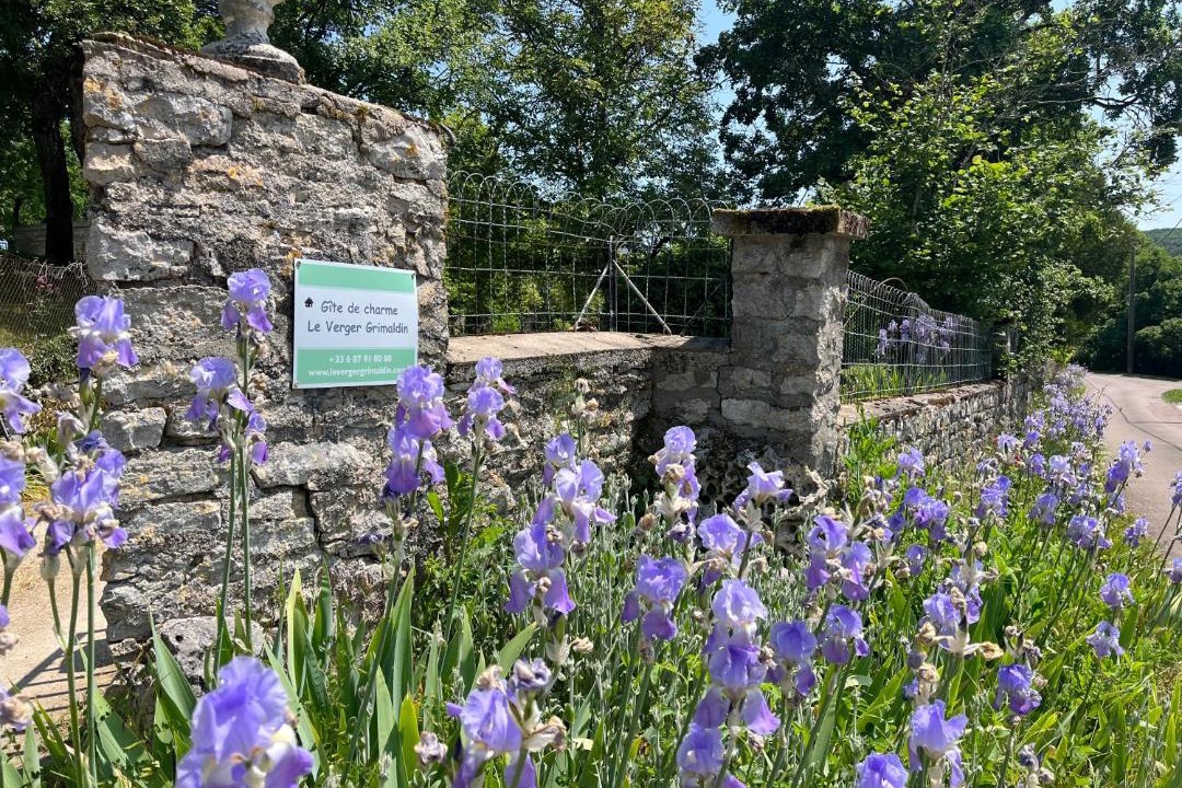 Photo of Others in Grimault