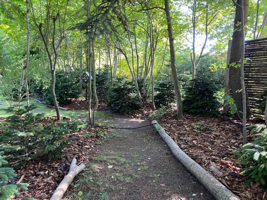 Photo of Others in Lystrup