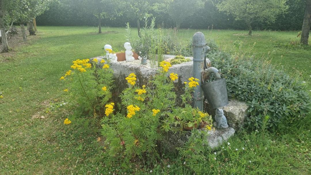 Photo of Others in Bois