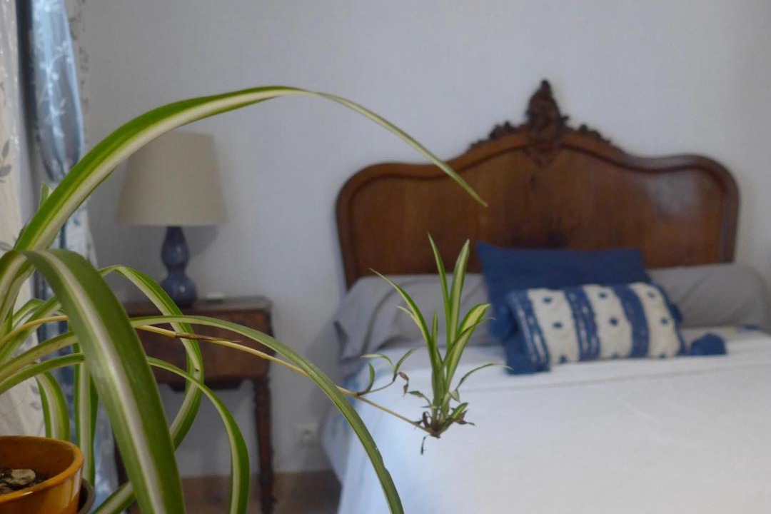 Photo of Others in Chandolas