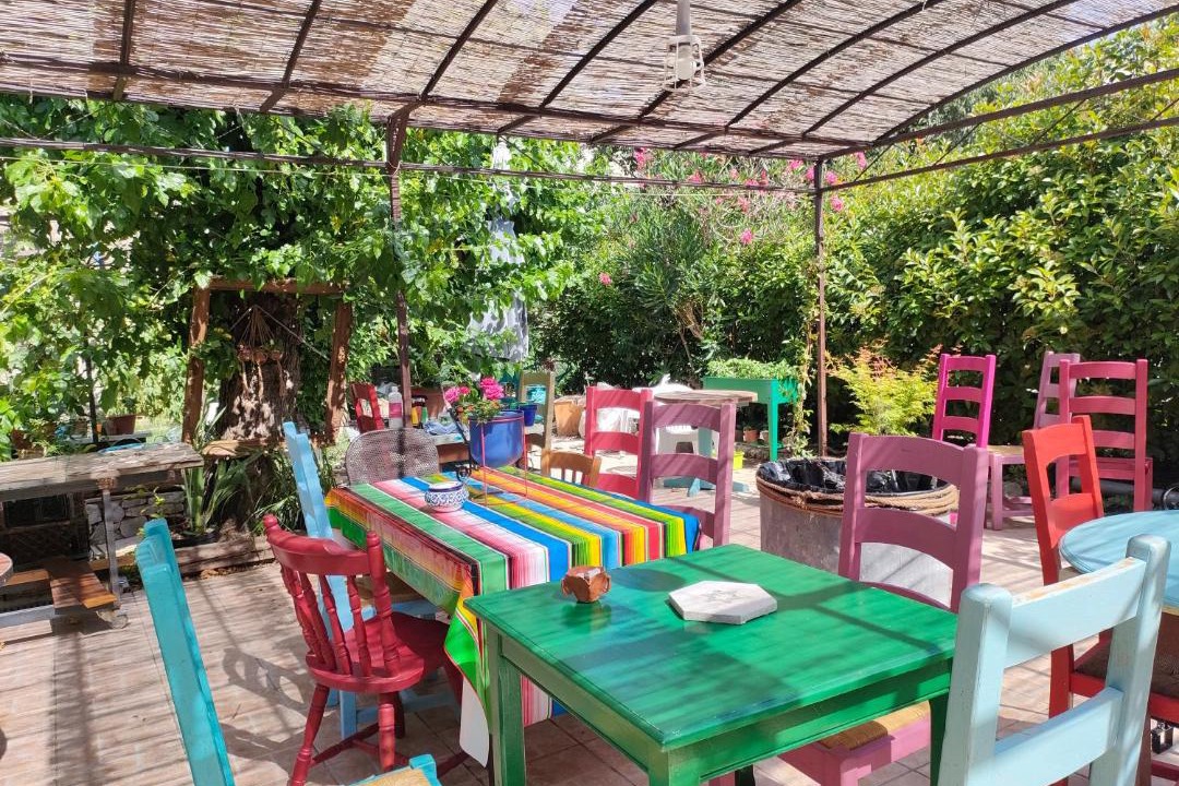 Photo of Others in Chandolas