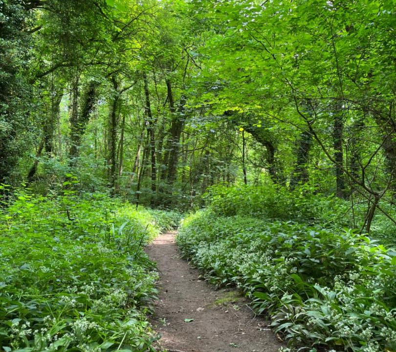 Photo of Others in Kington