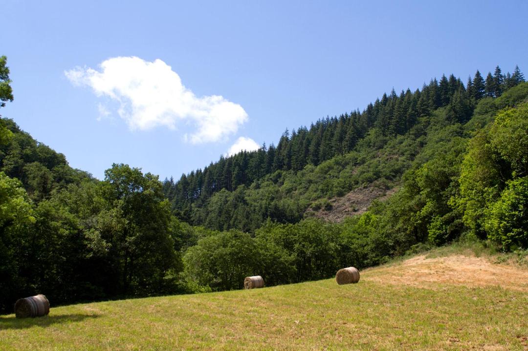 Photo of Others in Ceilhes-et-Rocozels