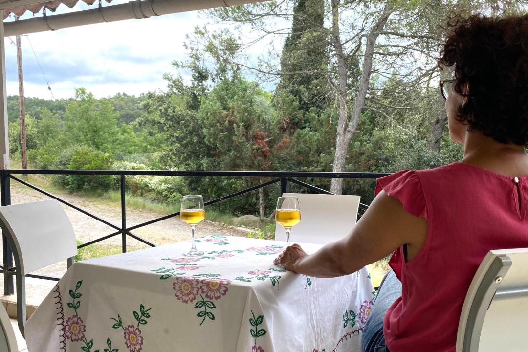 Photo of Patio Balcony in Ladern-sur-Lauquet