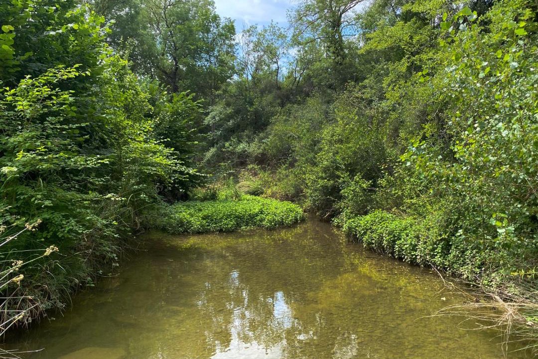 Photo of Outdoor in Ladern-sur-Lauquet