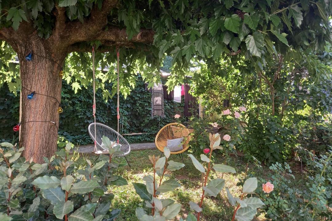 Photo of Others in Crest