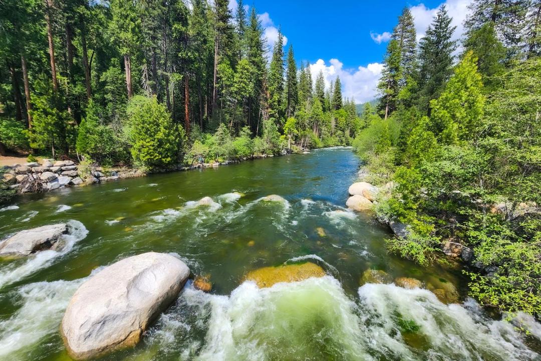 Photo of Others in Dorrington