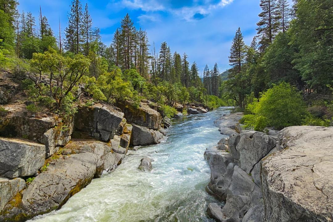 Photo of Others in Dorrington